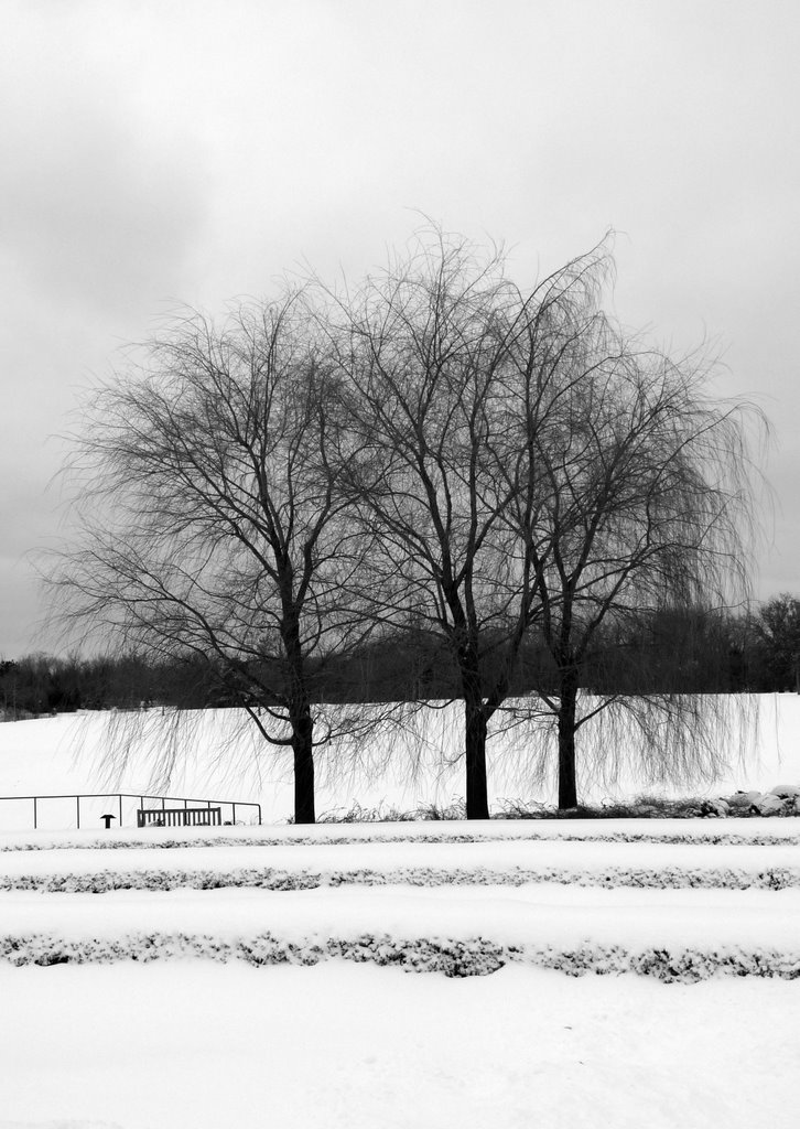 The Garden in Winter by David Bearden