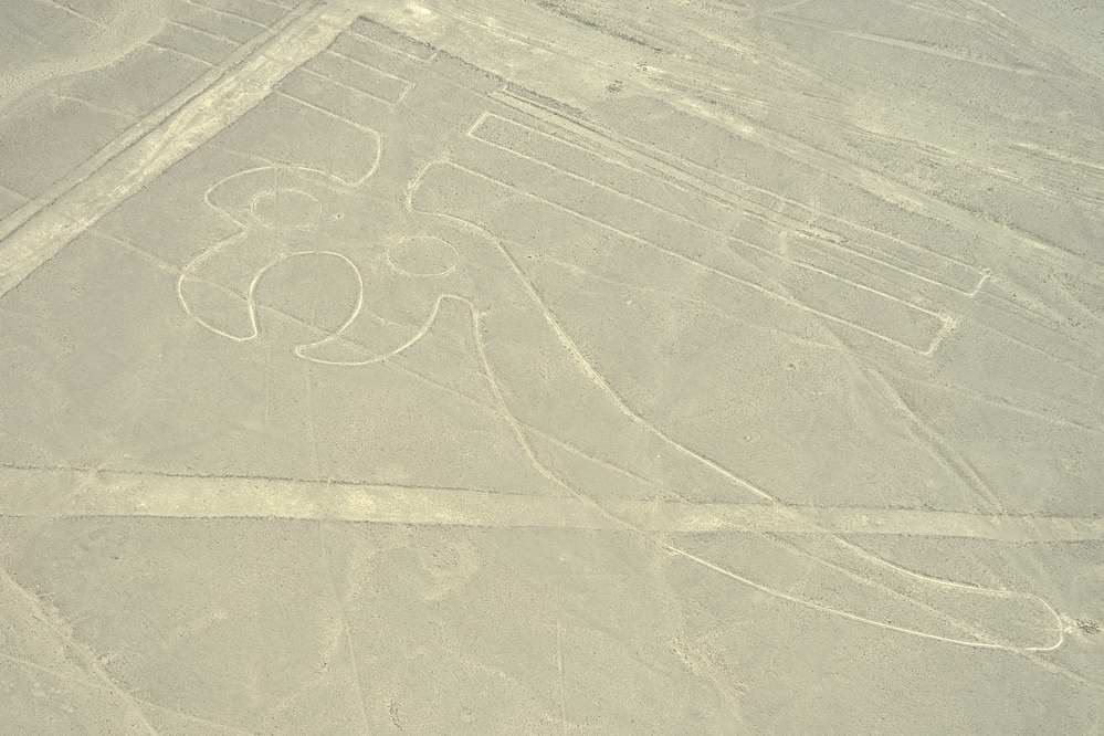 Nazca - Flight over the plateau - Parrot by Viktor Németh