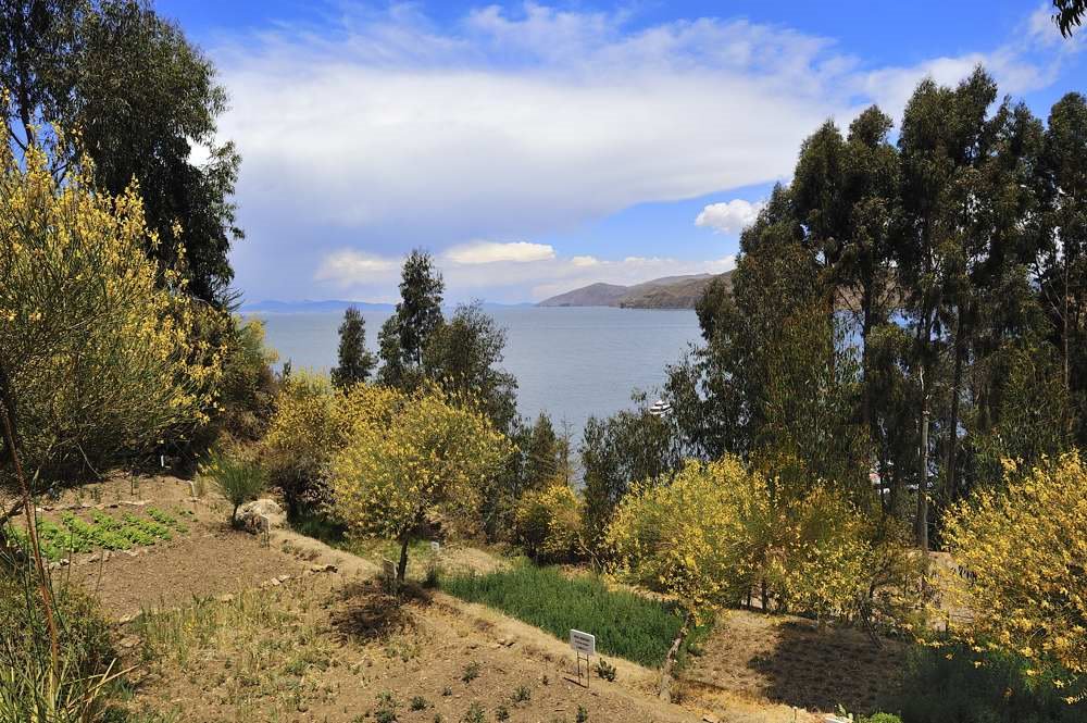 Lake Titicaca - Sun island by Viktor Németh