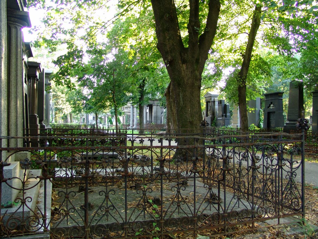 Jewish Department - Central Graveyard Wien by world of pictures by…