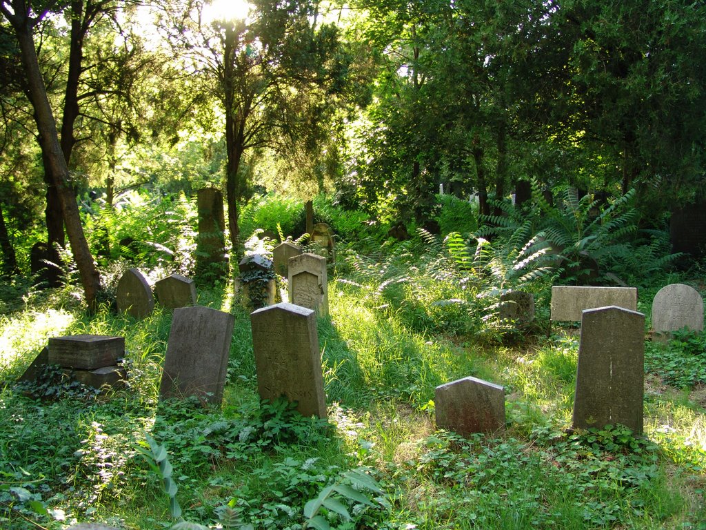 Jewish Department - Central Graveyard Wien by world of pictures by…