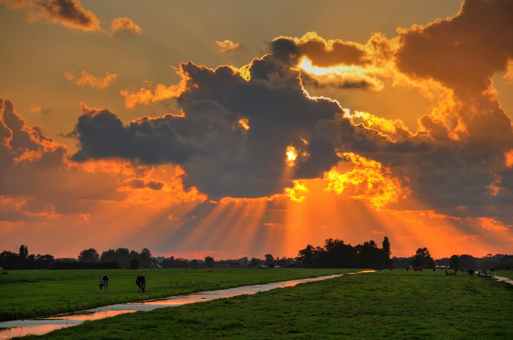 Oud Bodegraafse polder 1 by Rudi van Dijk