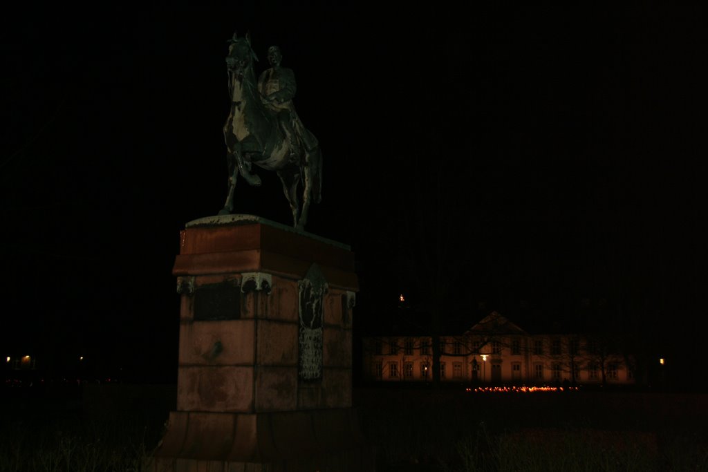 Odense Slot by night by WilliamThorupHansen