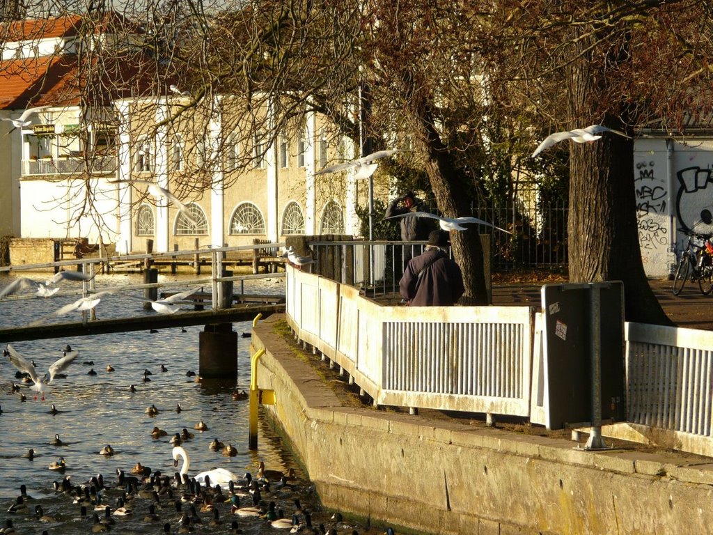 Friedrichshagen, Berlin, Germany by cobra1979