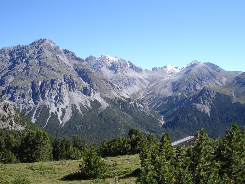 Schweiz. Nationalpark by Martin Hiestand