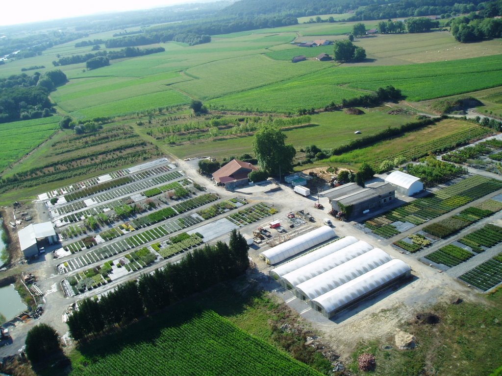 Saint Jean-de-Marsacq - Les pépinières du Sud Ouest by Jean-Marc  TOUGNE