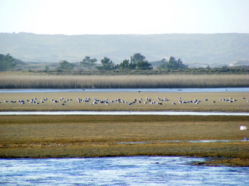 Entorno Laguna de Valdoviño by Beatrizzzz