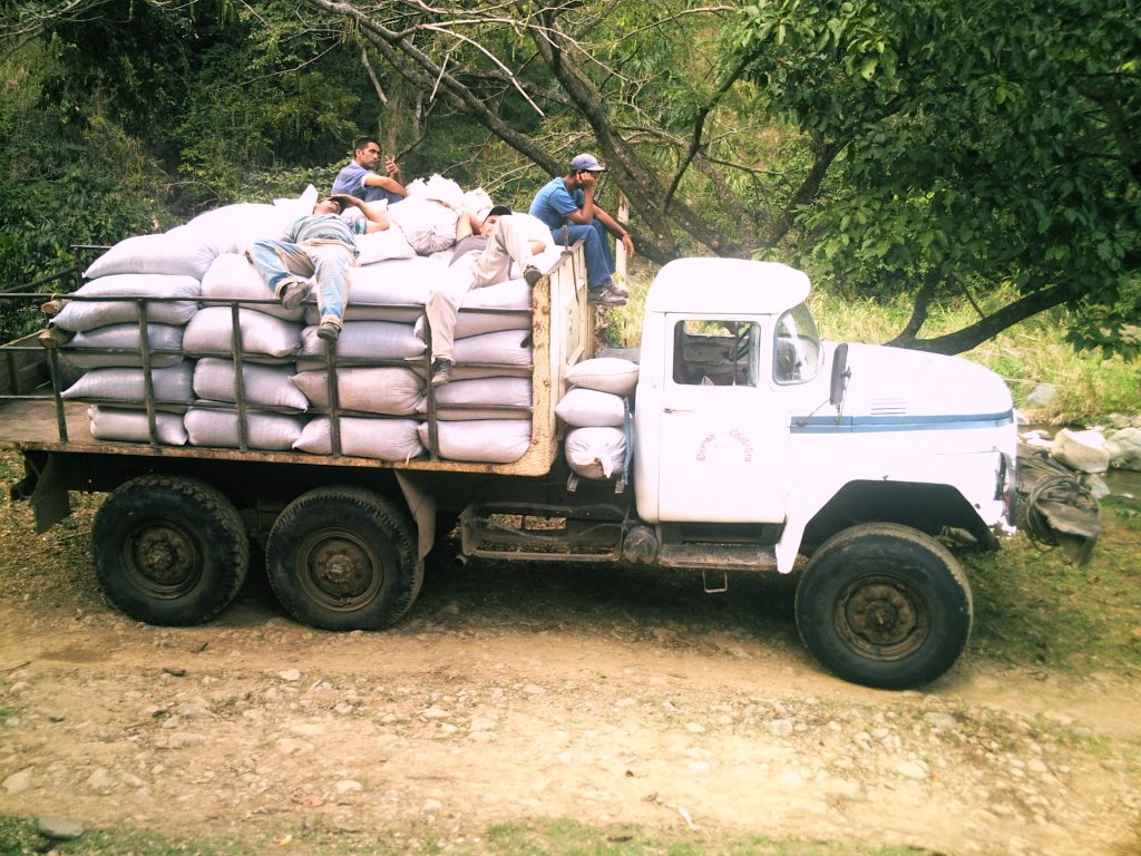 Transporte "En La Sierra Maestra" by Delvisd