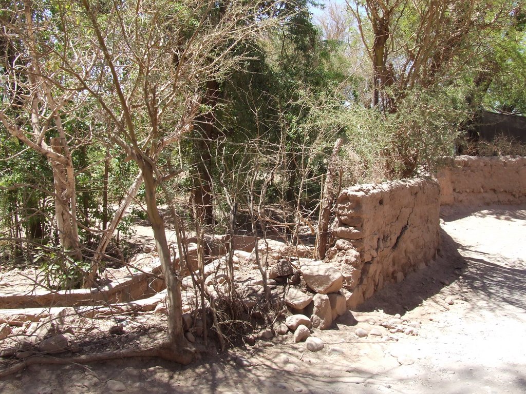 San Pedro de Atacama (Rincones) by pedro aurelio