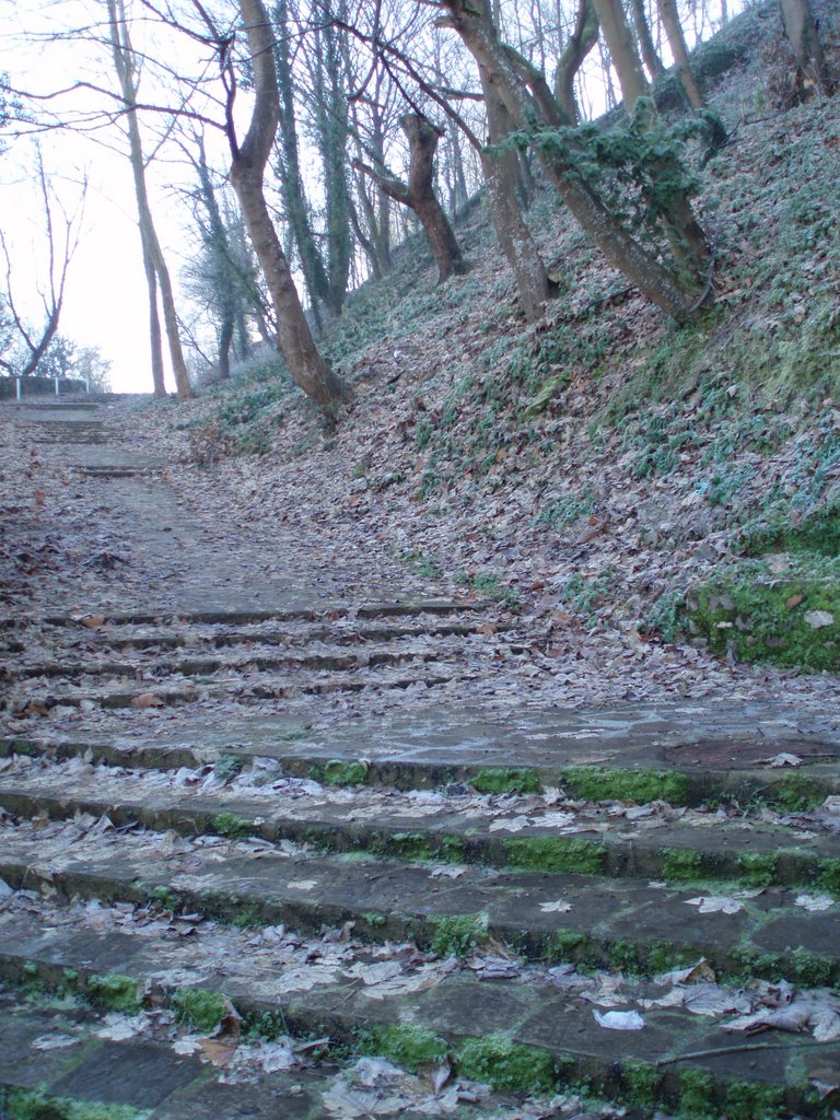 OTOÑO by la posada del barri