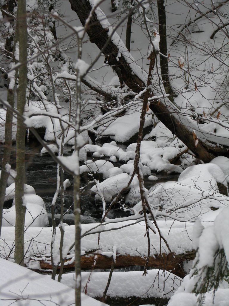 Winter In Mink Hollow by davehermon