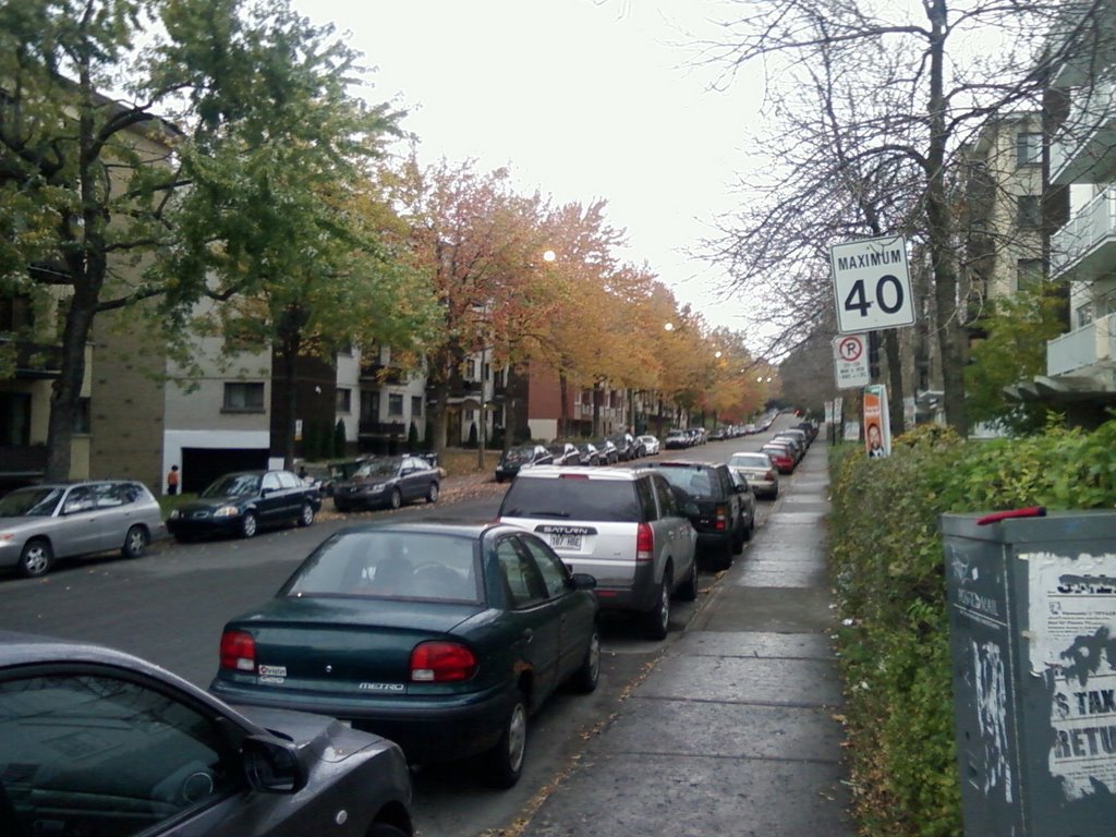 Av.Kent pendant l'automne by Kamen Raev