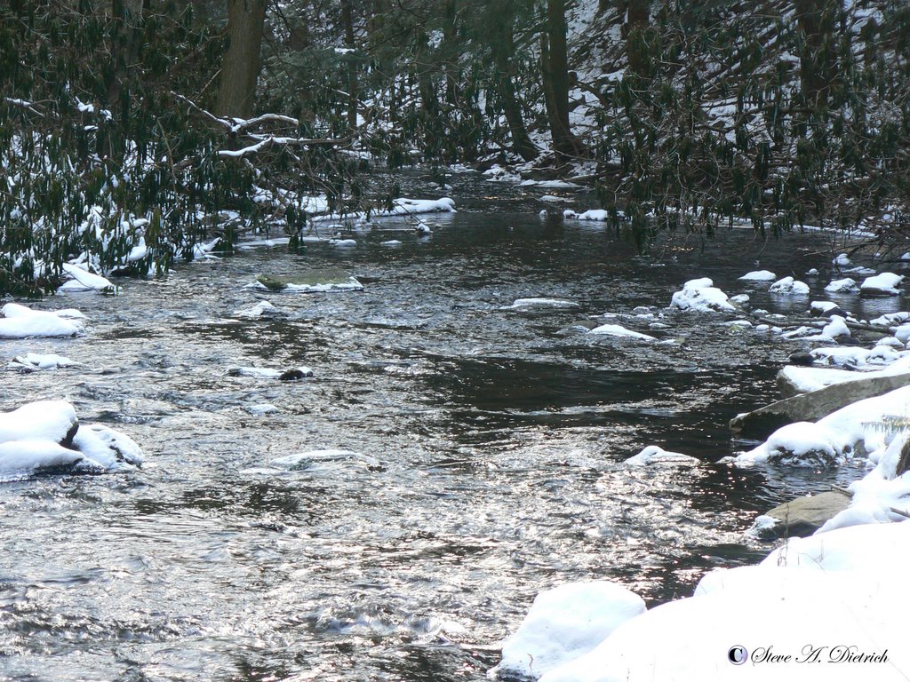 RB Winter State Park - Rapid Run Creek - Winter by photospy