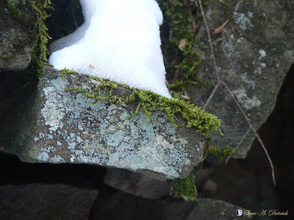 RB Winter State Park - The Elements, Rocks, Winter by Steve Dietrich