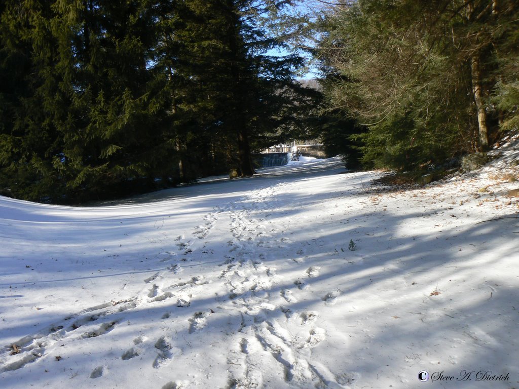 RB Winter State Park - Trail to Dam - Winter by photospy