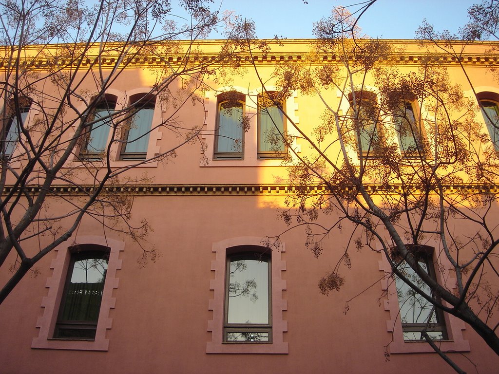 Escola industrial, (tardor), barcelona by silviae