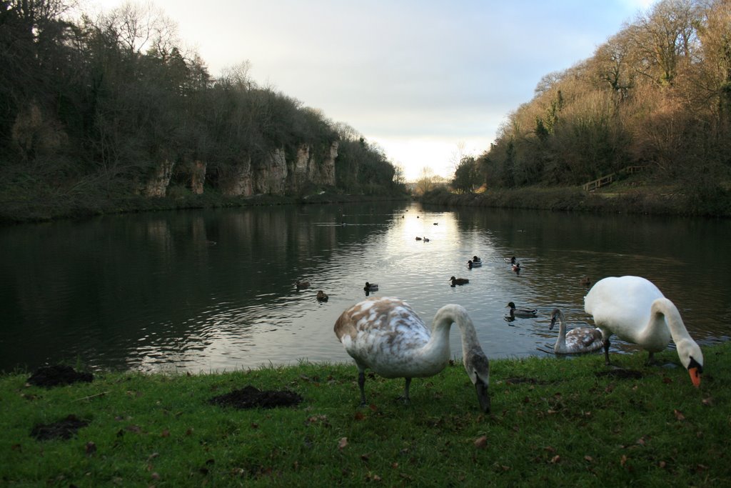 Creswell crags by M.Goodwill