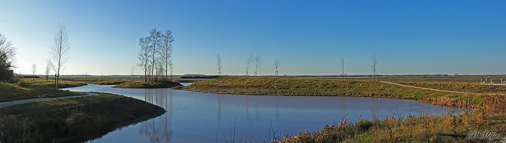 Aukje wolf Park by Bert_Meijer