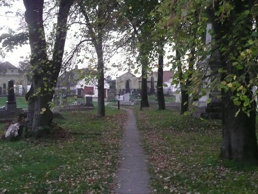 Pathway through catholic cemetery by geelongpeter