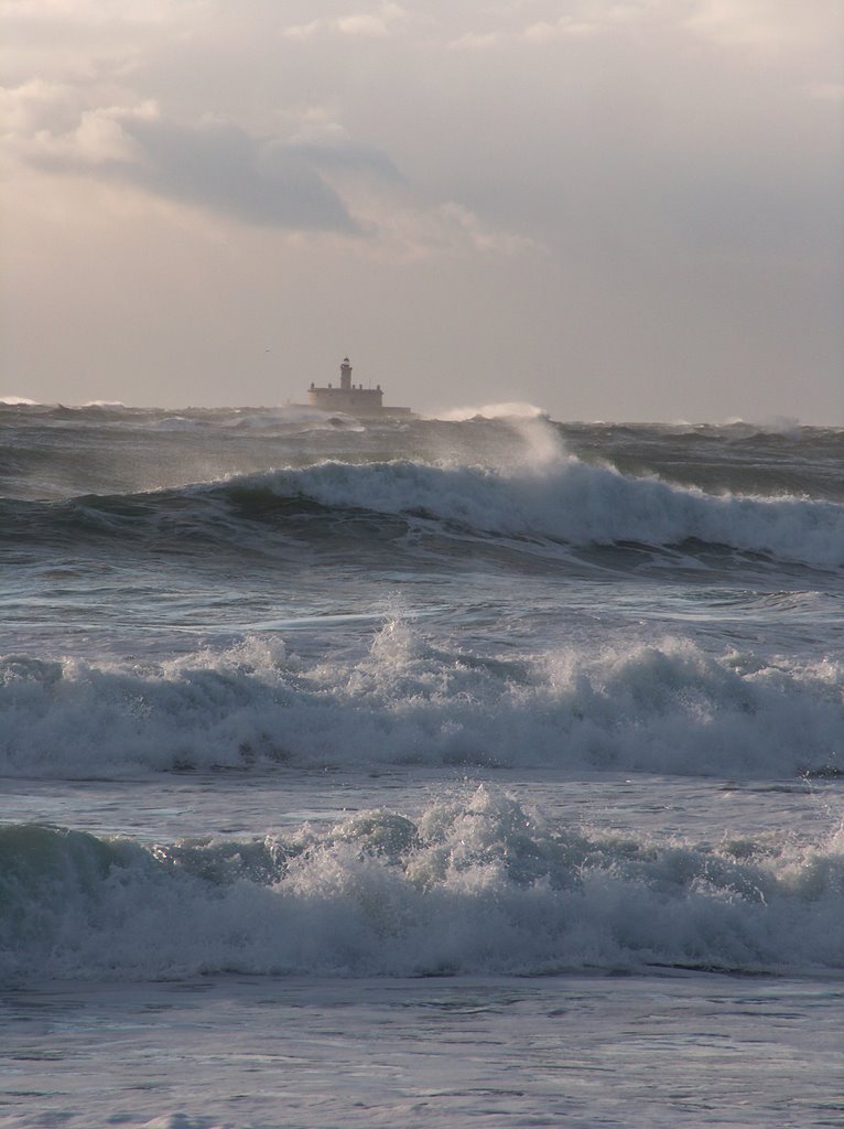 O Bugio, visto da Caparica by José Seco