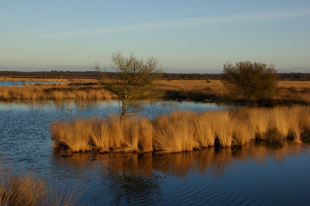 Engbertsdijksveen 1 by frank roosenbrand