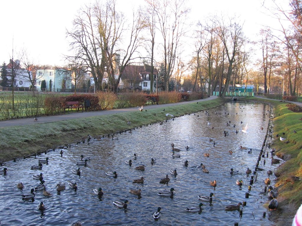 Choszczno, Holenderski square by Yarecky