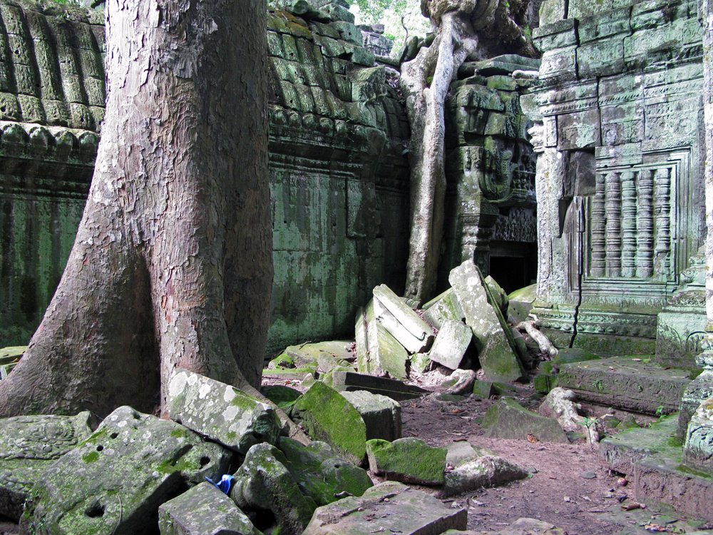 Angkor, Cambodia. Green world. by Eivind Friedricksen