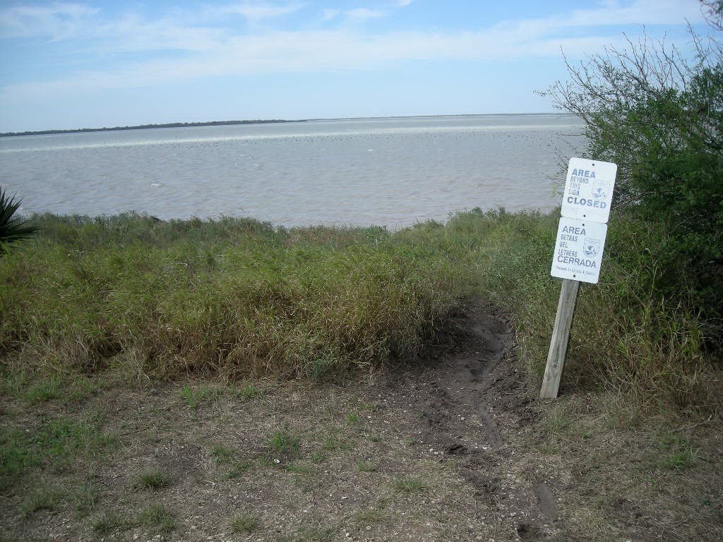 Alligator tracks at Laguna Atascosa NWR by eliot_garvin