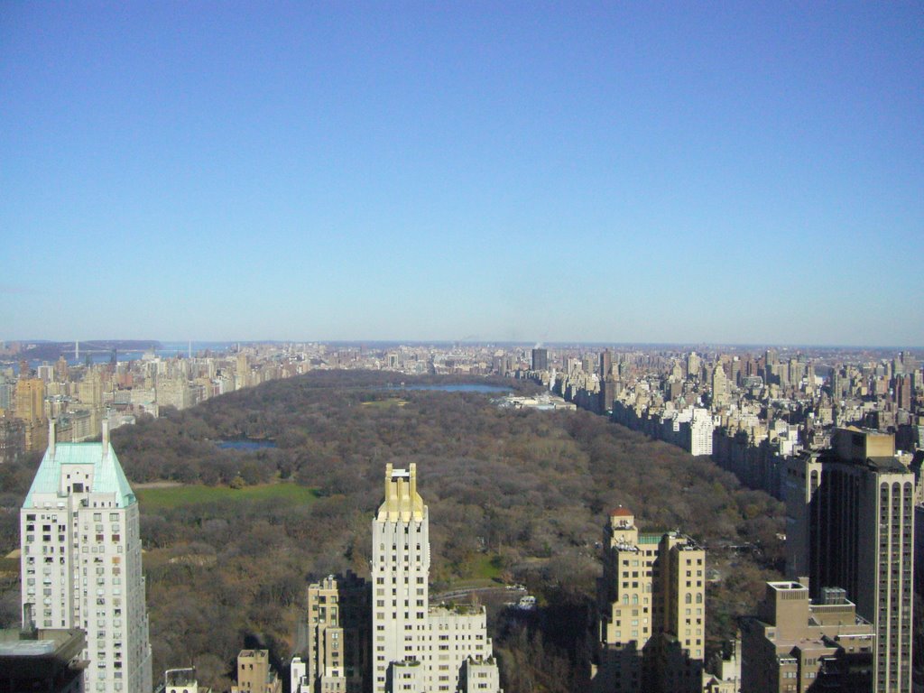 Central Park from the 45th. floor of the building at 6th. Ave. & 55th. St. Dec. 2008 by Pablo F.