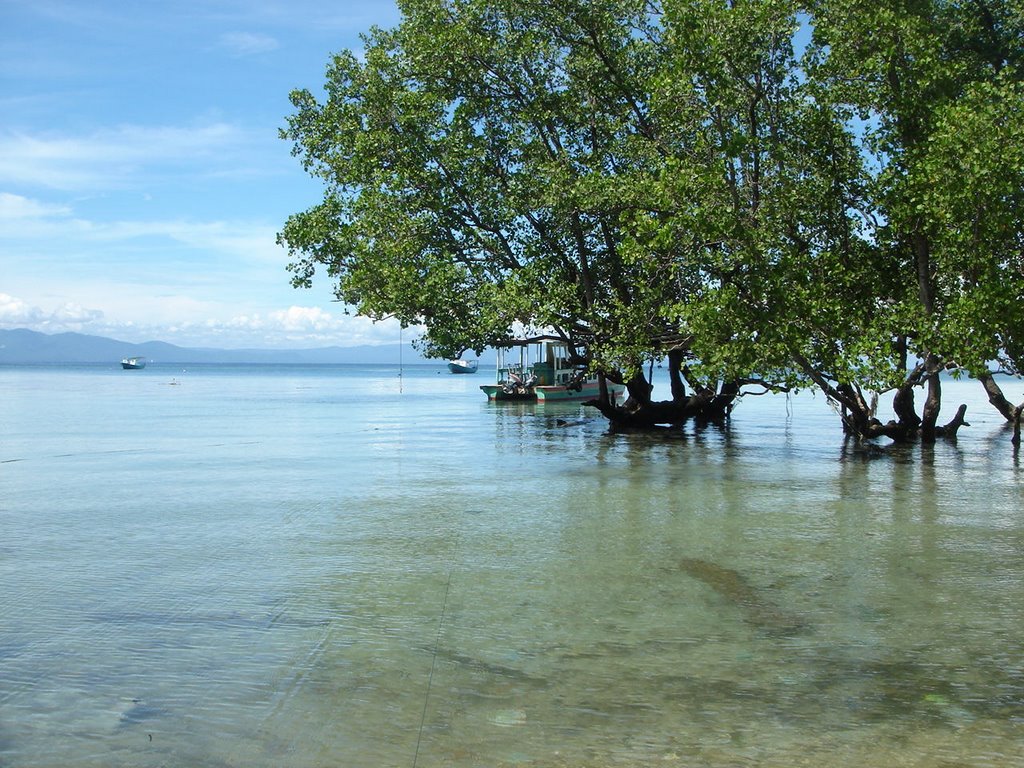 Bunaken Mangrove, North Sulawesi, Indonesia by jenie212