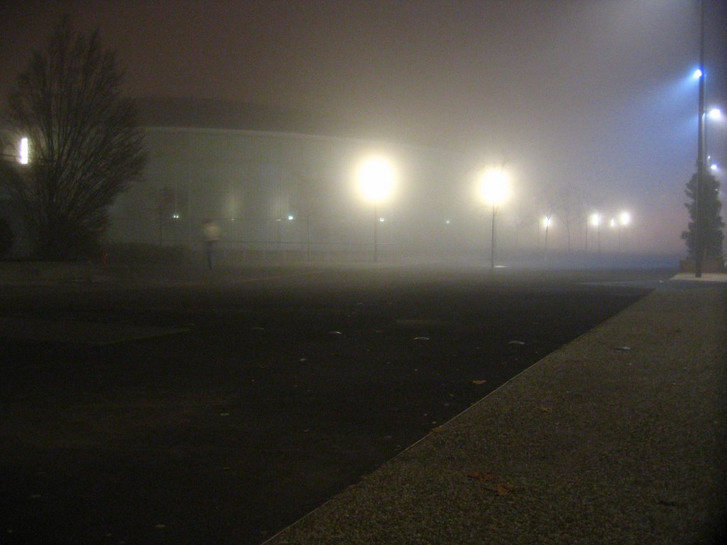 Palais des sports dans le Brouillard by Laurent Leclair