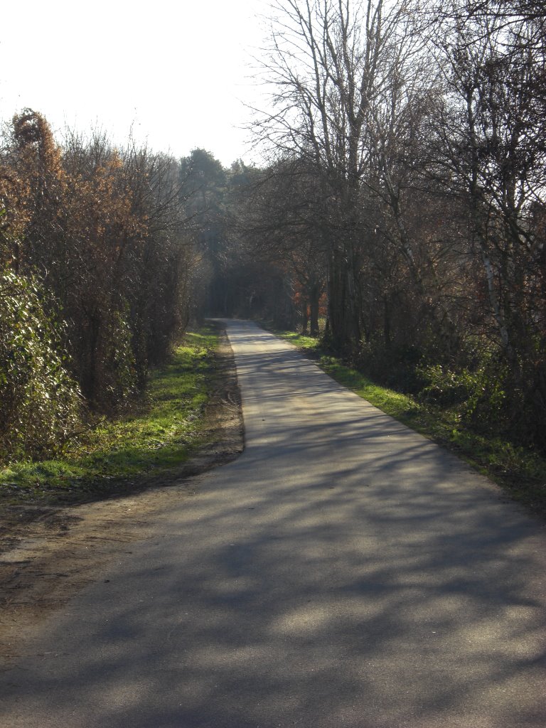 Straße Am Esch by Stadtlohn