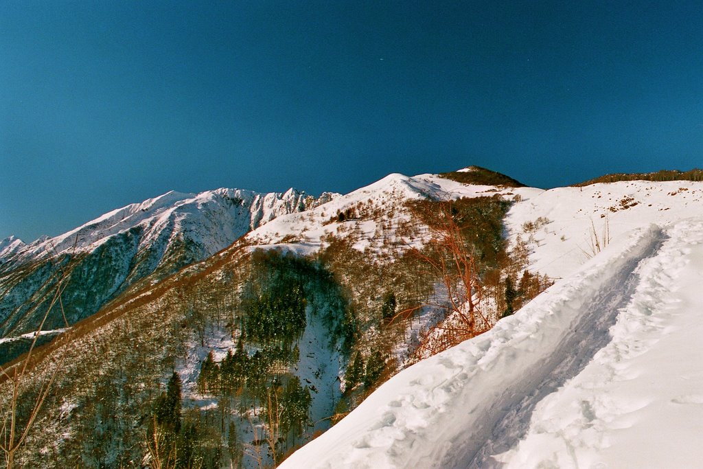 Alpe di Naccio nella neve (e mozziconi abbandonati, che tristezza) by andrea riberti