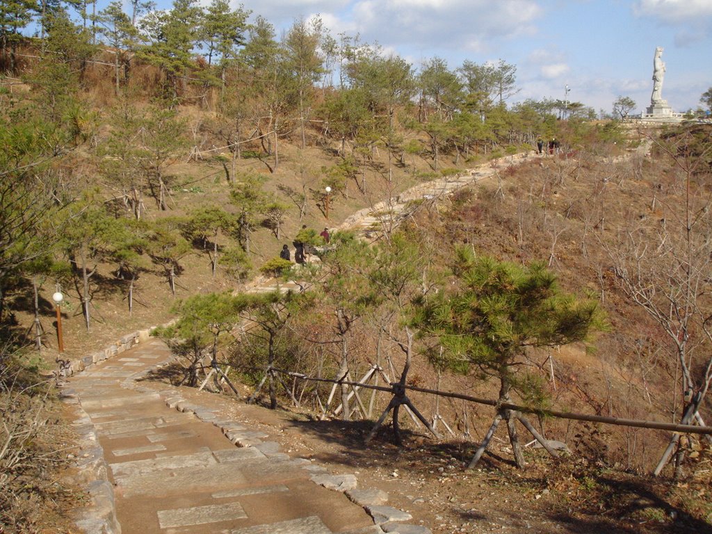 Pathway from temple to the buddha statue by nholt769