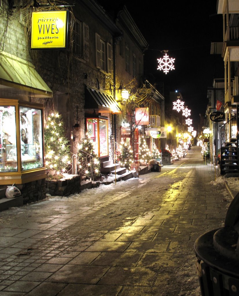 Rue du Petit-Champlain by Alain Lauzier