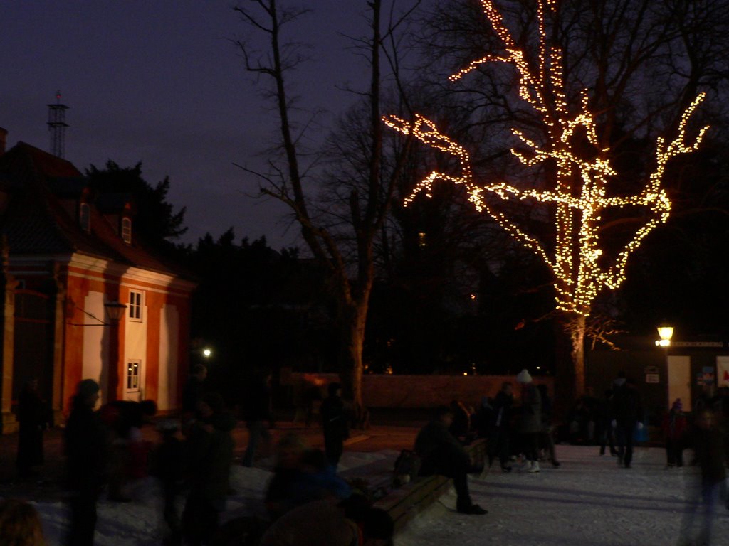 Frederiksberg Runddel - Iceskating at Christmas by thor☼odin™