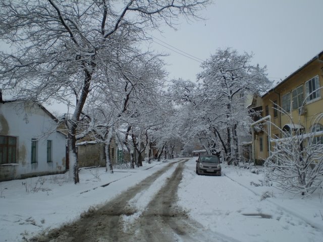 Переулок Сенной 25 Декабря 2008 by Sergey Ryssov