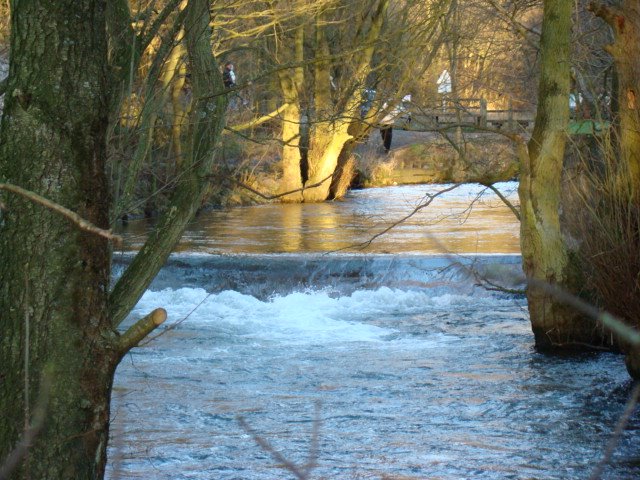 Dovedale, peak district visitors spot by Dave Cullen