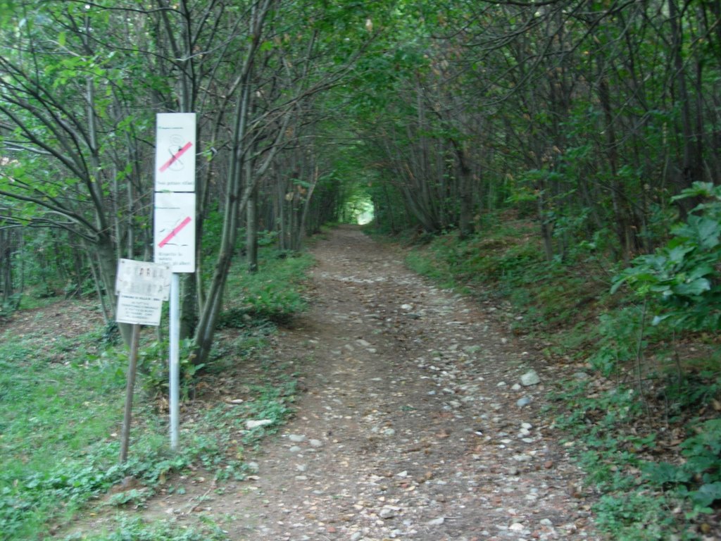 Carrareccia per monte bastia by Rubens lore