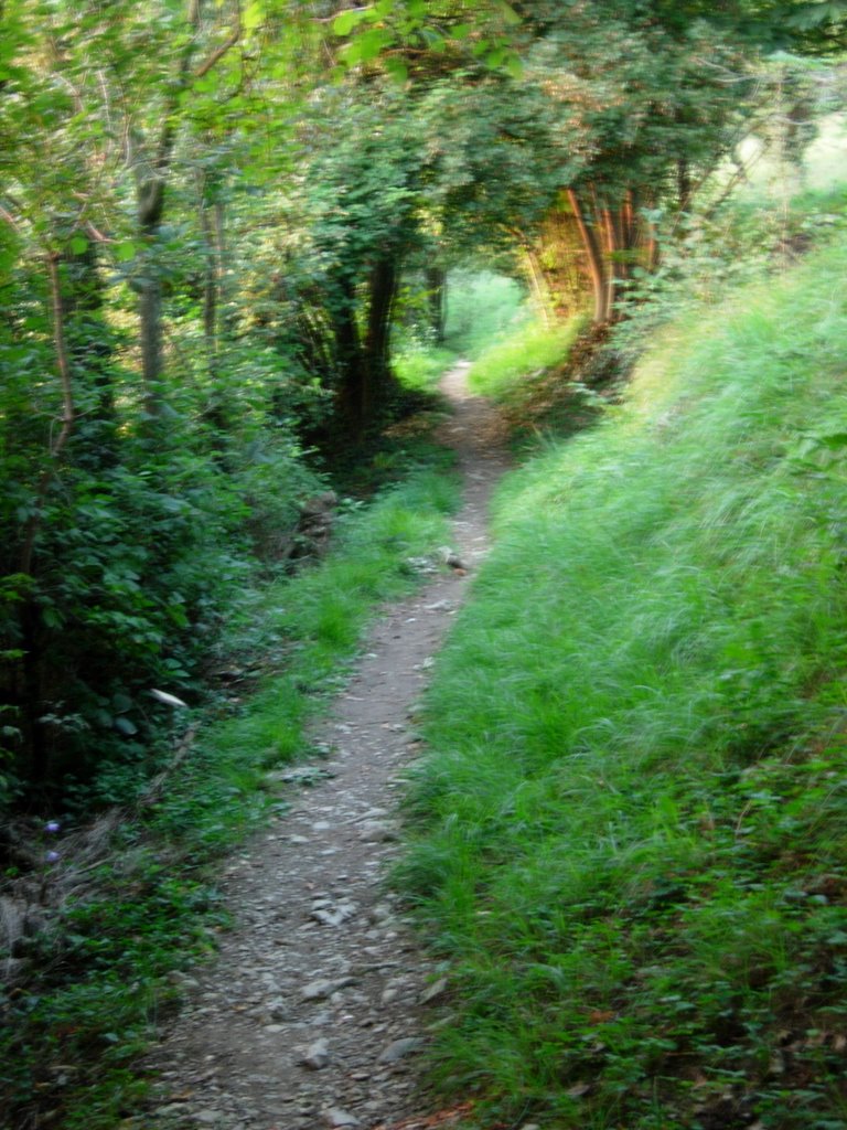 Sentiero natura valle capla by Rubens lore