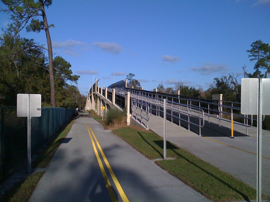 Cross Seminole Trail, Florida by Curtis Conkey