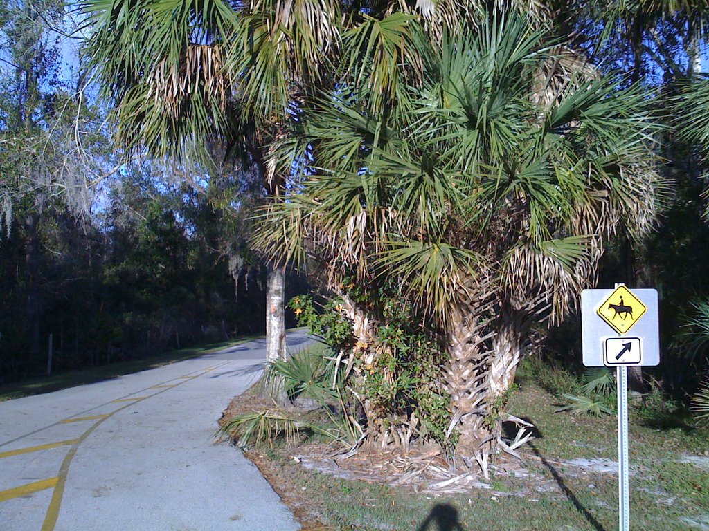 Cross Seminole Trail, Florida by cconkey