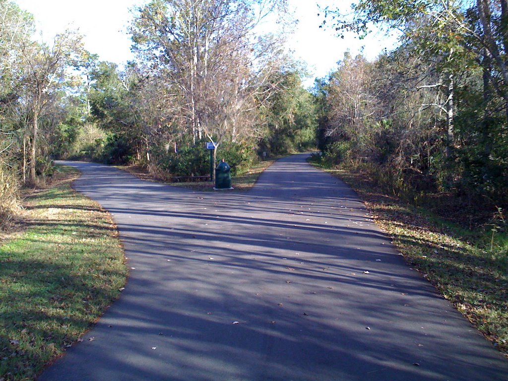 Cross Seminole Trail, Florida by cconkey