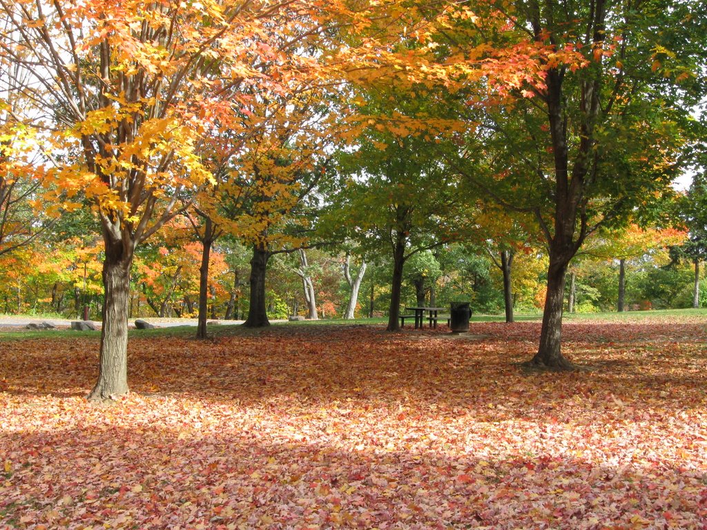 EAST ROCK PARK by juandel