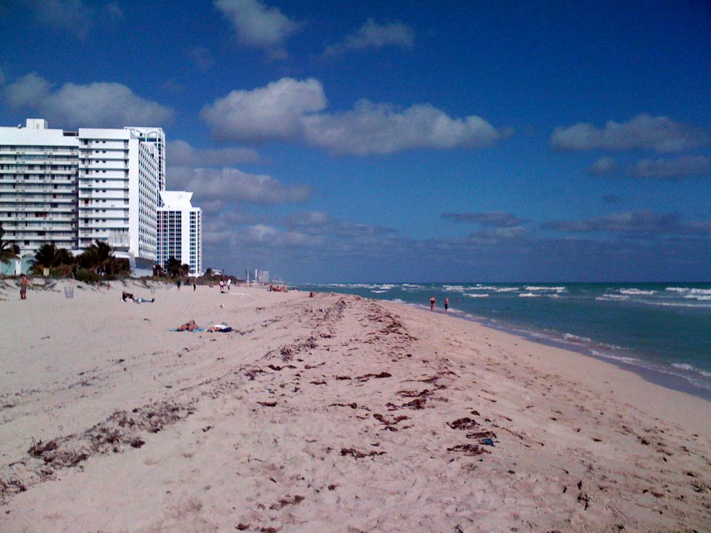 Beach Near 64th Street Park, Miami Beach, FL by gtm67