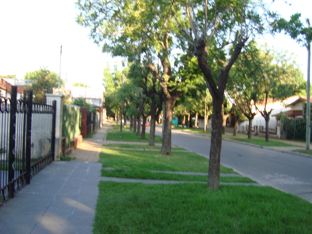 Calle Aristóbulo del Valle by Izhak el Dragontosau…