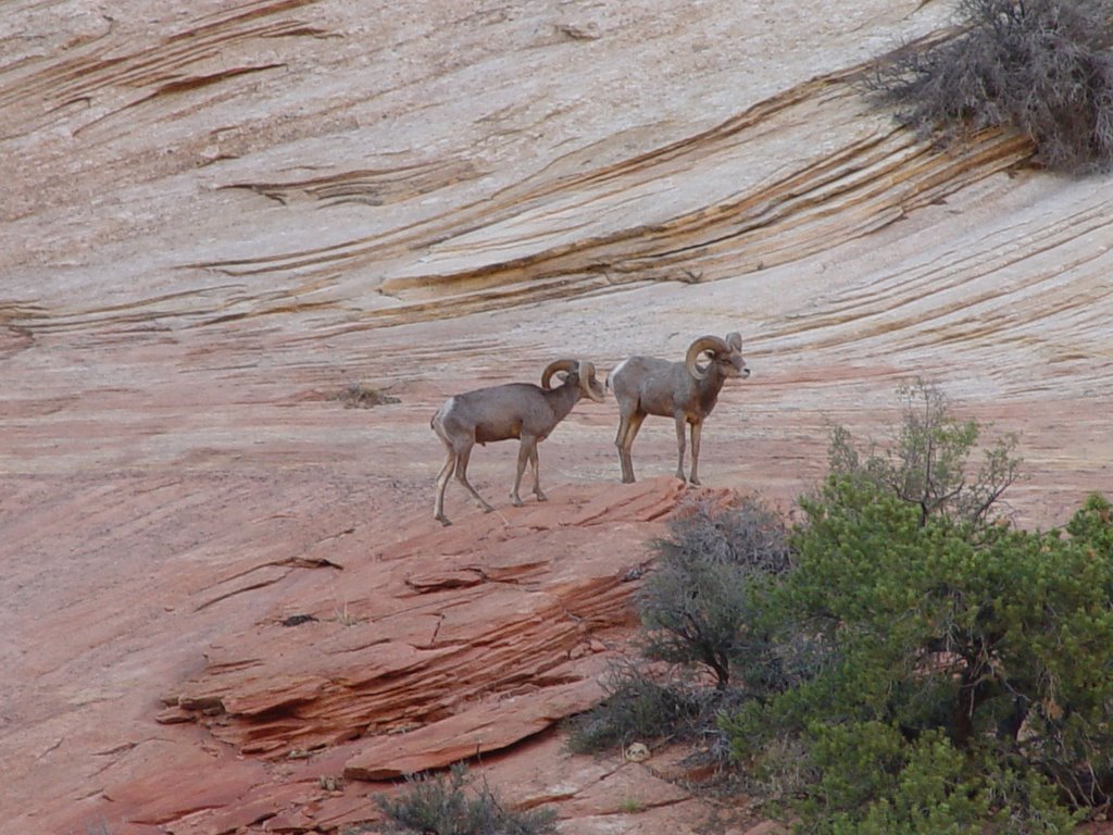 Zion by pic71