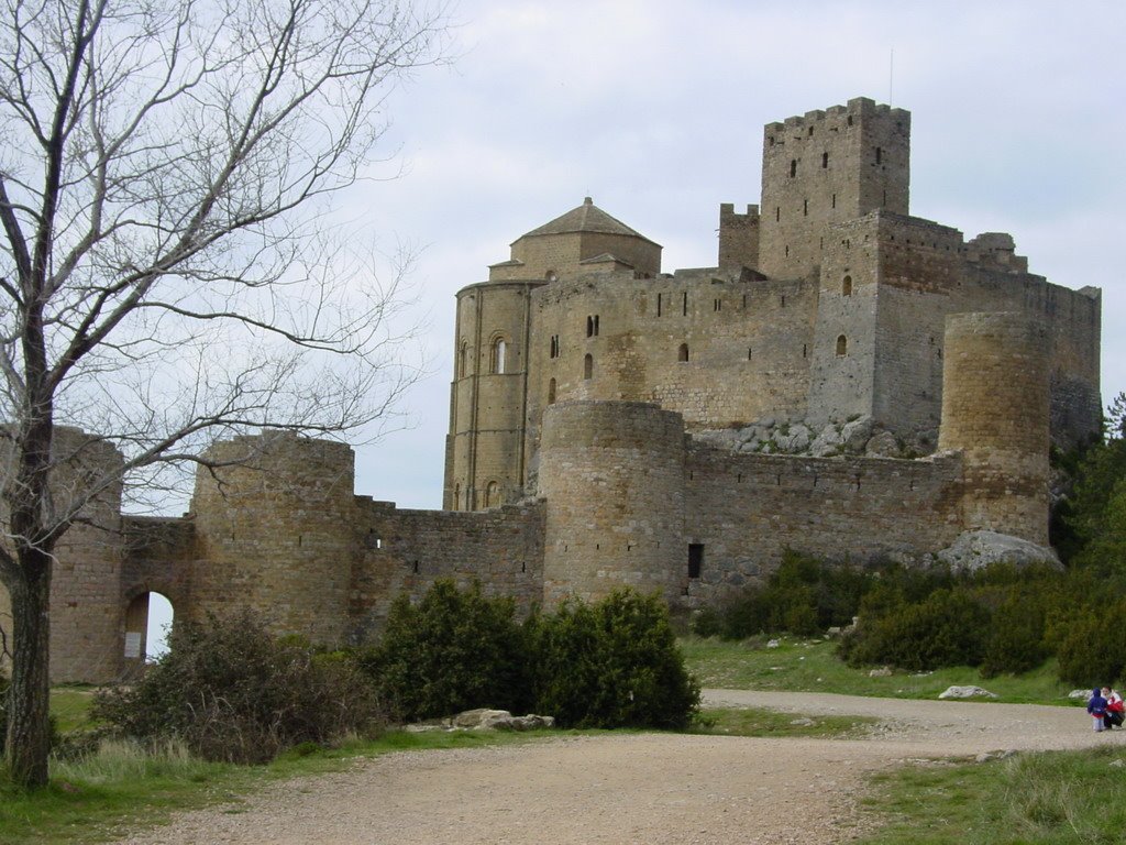 Castillo Loarre by darpa