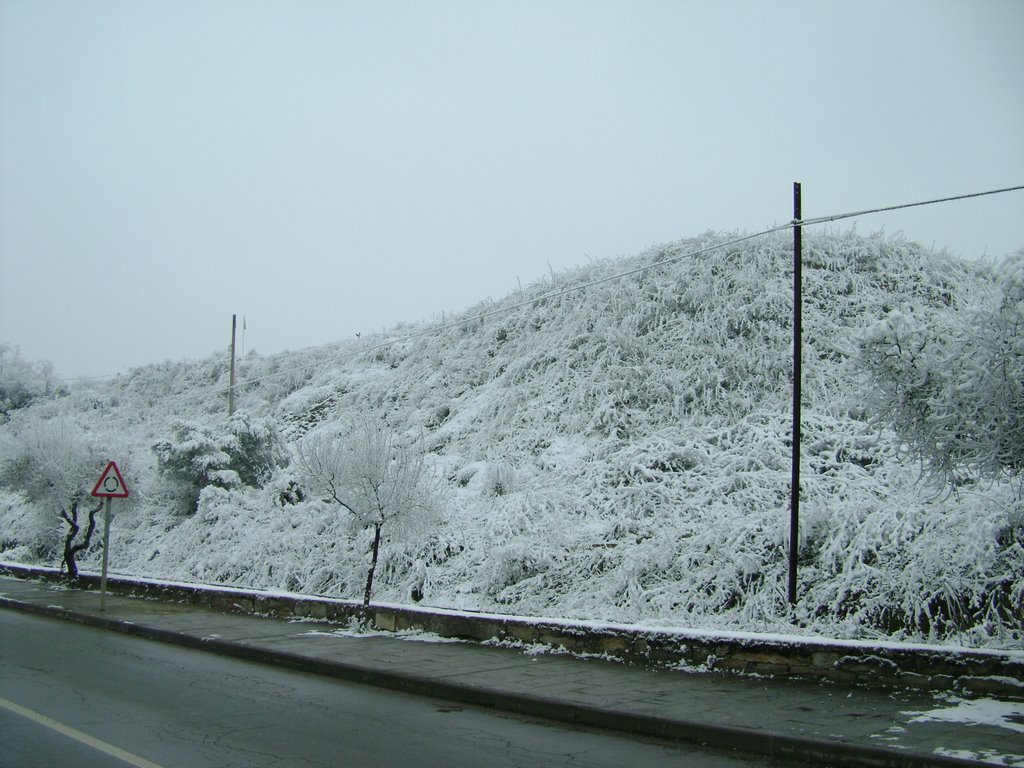 CARVALHAIS - Carvalhais - PAISAGEM GELADA by LUÍS A. D. LIBERAL