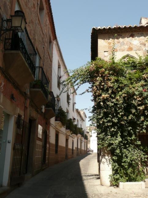 Calle de Puerta de Mérida, agosto 2008 by flor_de_loto